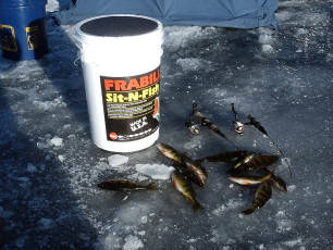 8445E7E3-5760-471B-A333-89D58B10C06C