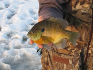 85DBDC86-F6C0-4F53-808C-B271DD3313C0