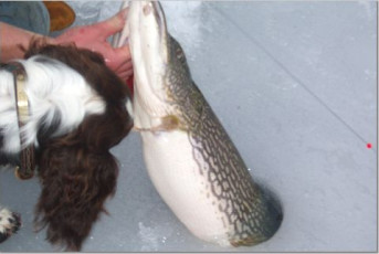 892842EB-3368-4E40-A65D-ACA65D40ED7B