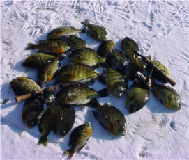 89747CDA-3756-40F4-B6B8-B8A43D512BC5