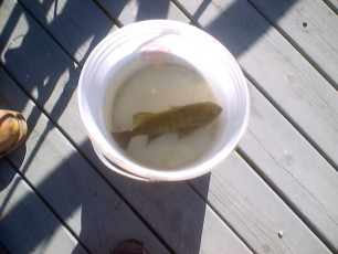 8D4B5476-1A21-459E-A047-FD2A64B6AA8B