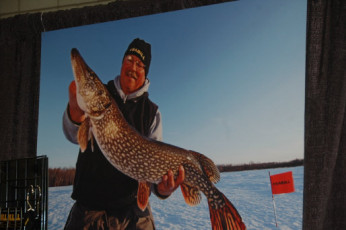 8FD32871-E175-4466-853D-D78F259E465A