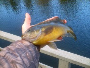 905ED1E2-EE3A-4B18-BCE6-A02B617C18D3