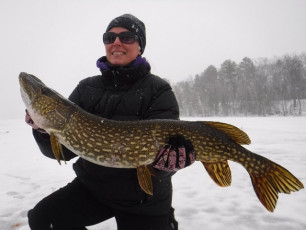 92D20CE7-FD23-4800-B291-140F727ADF8F