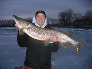 9414D28D-EA7E-49FB-AB72-0AD2AB559D5F