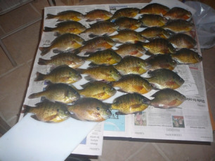 975837CF-4FF1-4F0E-AE03-18009CE6DC6A