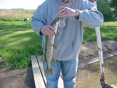 9B57A4EC-1194-4984-9632-559774F24E3B