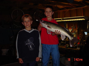 9C3CD558-A664-4D82-913A-D70723B8F573