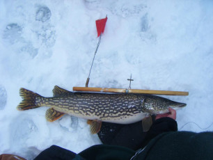 A2D7FBFC-9160-4561-9DF1-6FE4EF76377B