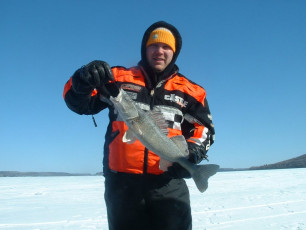 A3D59489-4199-43D9-AFD1-7333C53A8B3E