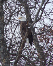 A6F9691B-1A1B-446D-A23E-891D94366E03