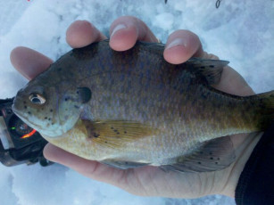 AB2288FA-662D-40AE-B5C3-49D978A6D8B3