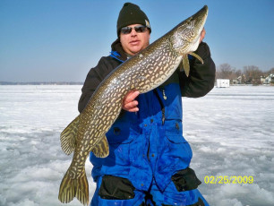 AE4A4F9B-AA3D-4387-B538-6B1783158BD5