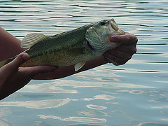 B3C01BE0-16AD-4F53-B6DC-BDF391DEA775