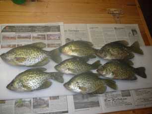 B4A5AF05-A2D2-4607-98B0-A07348A54159