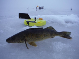 B4C9A461-9CC3-471D-A22E-81E1A8728619