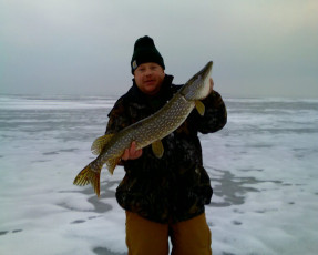 B64BC24F-780B-4A82-B201-551F5BF61AAD