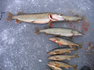 B64C7392-EA16-4CE9-81B1-E565636064B3