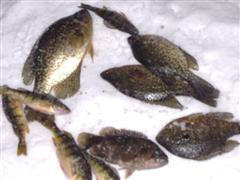 BBBDAA6A-9F5C-4E09-8286-37D4D342A330