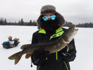 BC9BABE4-B1A5-4184-94D0-A621C65F60B4