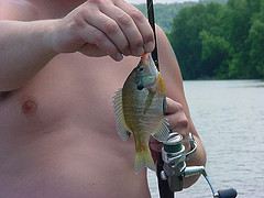 BFB3ED44-35AD-4B51-9F5E-1A8AC1F582DF