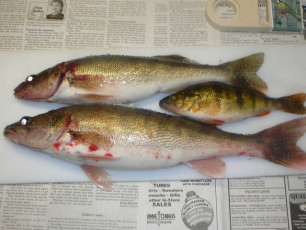 BFC3EC39-0F42-419A-BBA7-08E287572B53