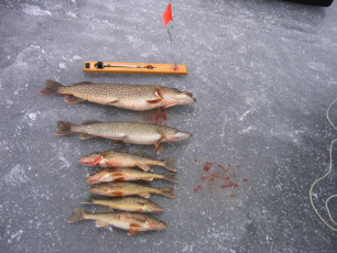 C5DA4E67-697F-4138-990C-DBBEBF217FF5