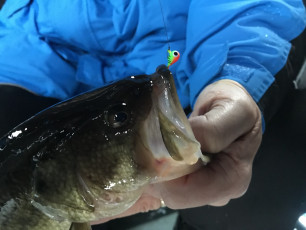 C844798B-F0E0-4C27-9507-404A64620584