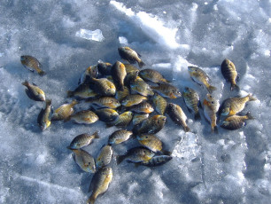 CD68CAE9-6461-476A-BE26-2A0D73C82123