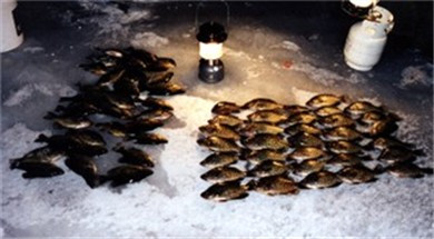 D203B7F8-101A-4BCD-AA8C-2ECB307D41E4