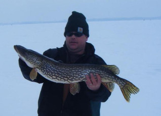 D446571A-C9AC-4551-9BC0-232366B05DAF