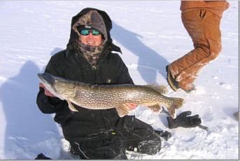 D87FEEC0-8E30-4445-9B79-CBA5DF3EA4BA