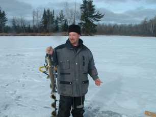 E68C8E16-8377-4DB4-BF88-85B7CFBEA168