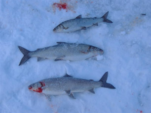 EFF72017-76BD-4F58-A73A-6CDDF6F9C255