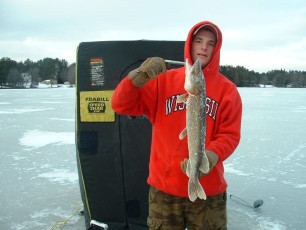 FD437BDB-DC17-4CAC-9C13-C8E055D56815