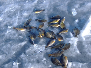 FF4292D9-35F4-47A4-A5A2-78483C9A7C5C