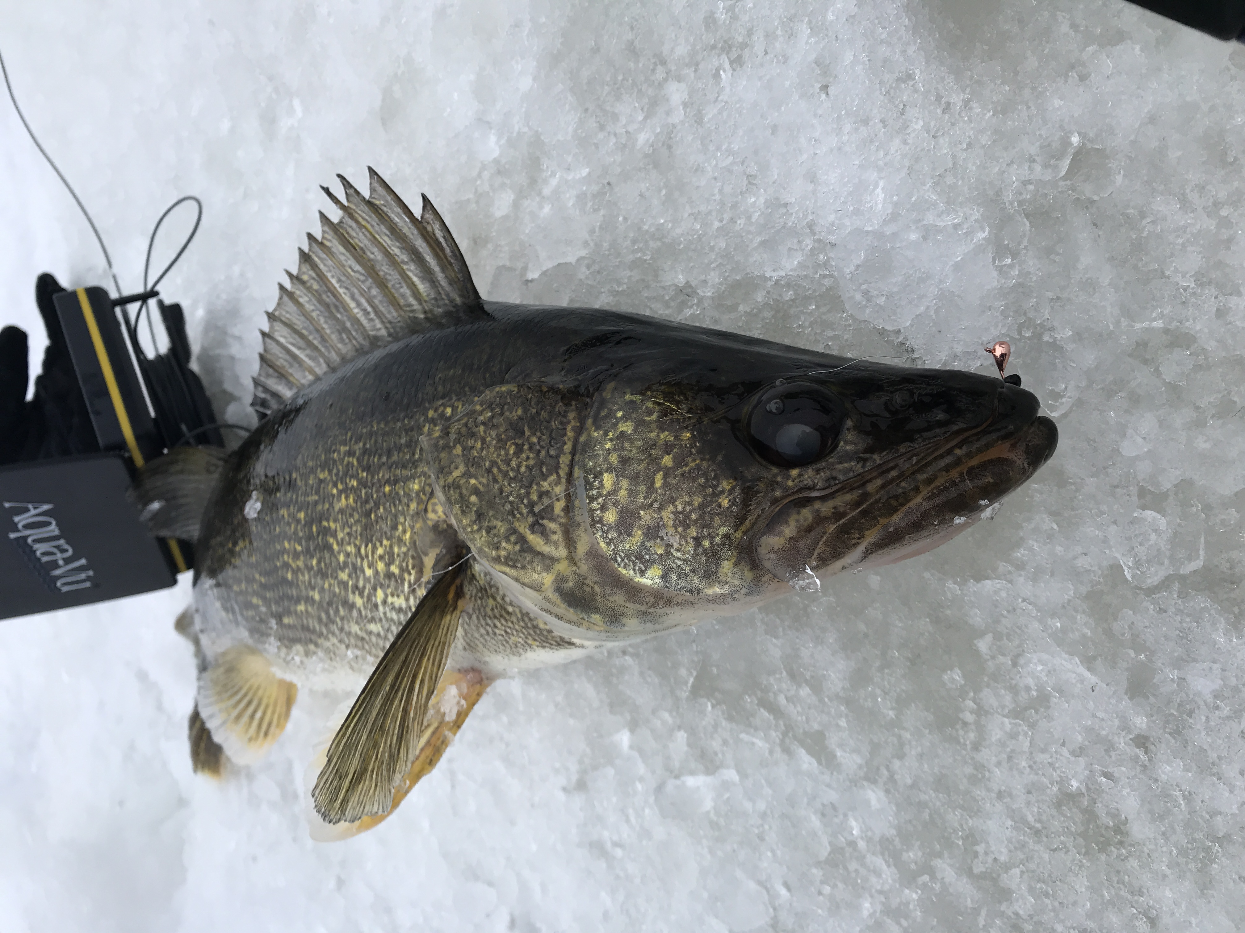 40th Annual Great Meredith Rotary Ice Fishing Derby set for Feb. 910