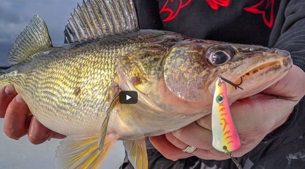 NonStop Daytime Walleyes Howto Ice Fish Petenwell Lake in Wisconsin