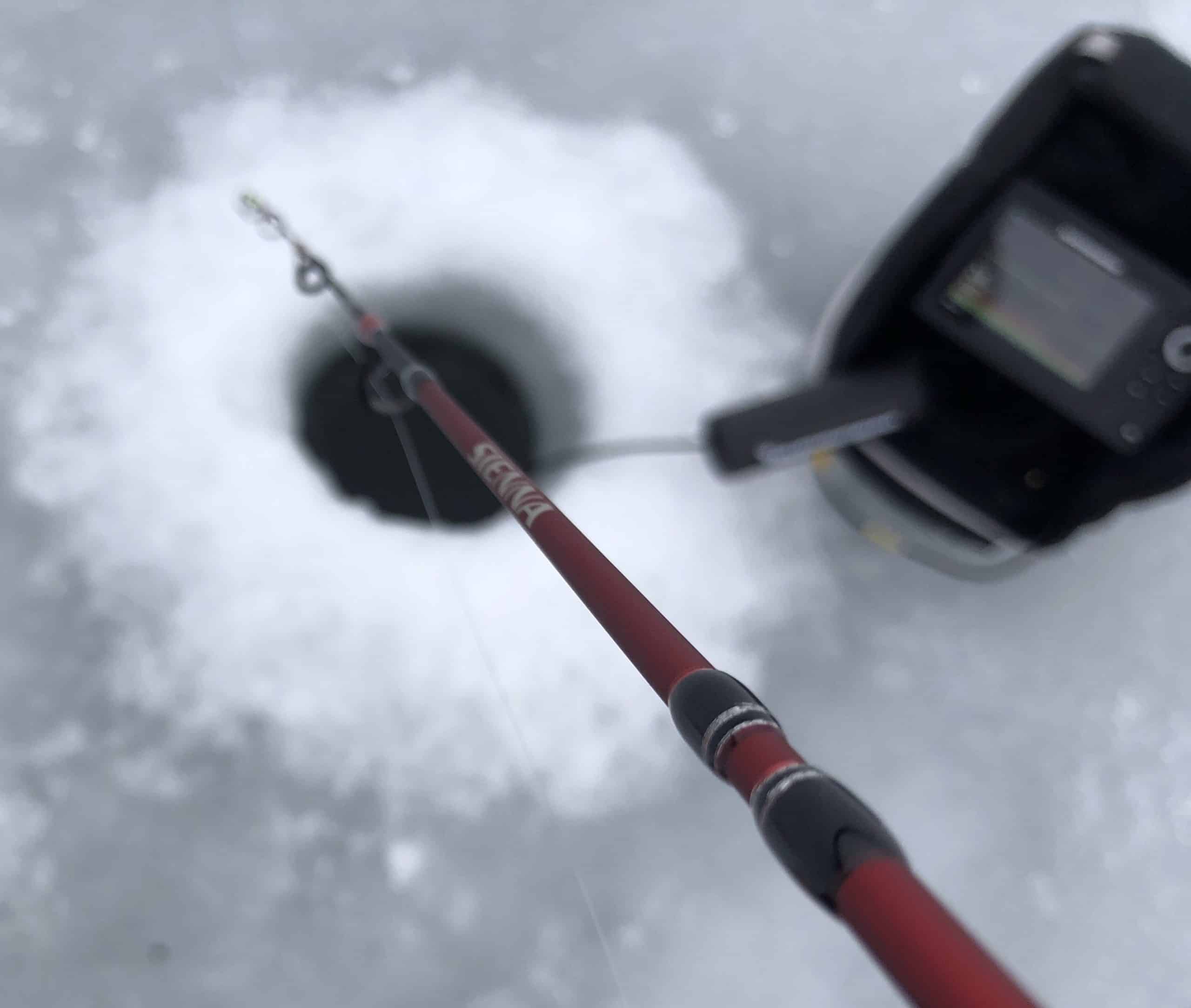 Shimano Sienna Ice Combos Now Available