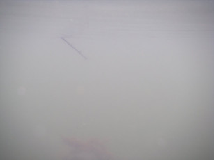 d0956d07-1acf-4423-95ab-31d562e3d458