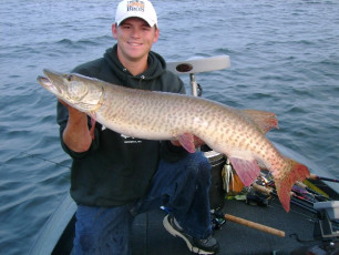 9485A319-D32C-4F42-85AA-D8C0FD6E6975