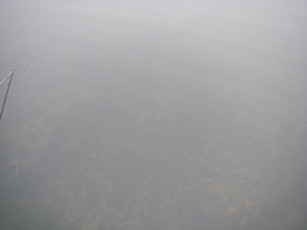 dc276e73-ed08-497c-8a0b-e0706c702db6