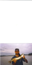 f960d08d-d5f7-4940-b602-f580bb2fe053