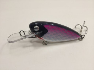 Blueback Cisco 4 Rippin Shad_preview