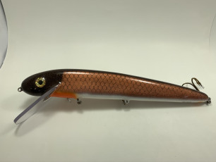 Glitter Copper Carp 15_ Dragon Claw