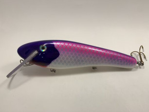 Purple Back Cisco 12 Shallow Threat_preview