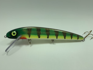 White Belly Perch 11_ Super Mag Claw