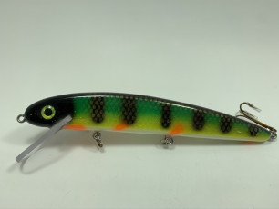 White Belly Perch 9.5_ Mag Claw