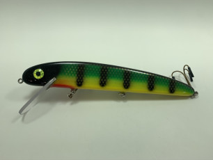 Yellow Belly Perch 11_ Super Mag Claw
