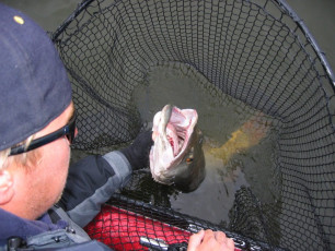 00661af9-182e-4a88-9452-a68c820cc804